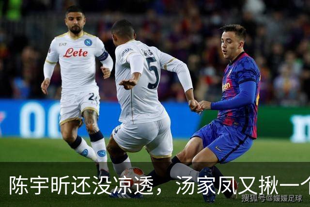 陈宇昕还没凉透，汤家凤又揪一个“精日”人员：竟然还是公司老板